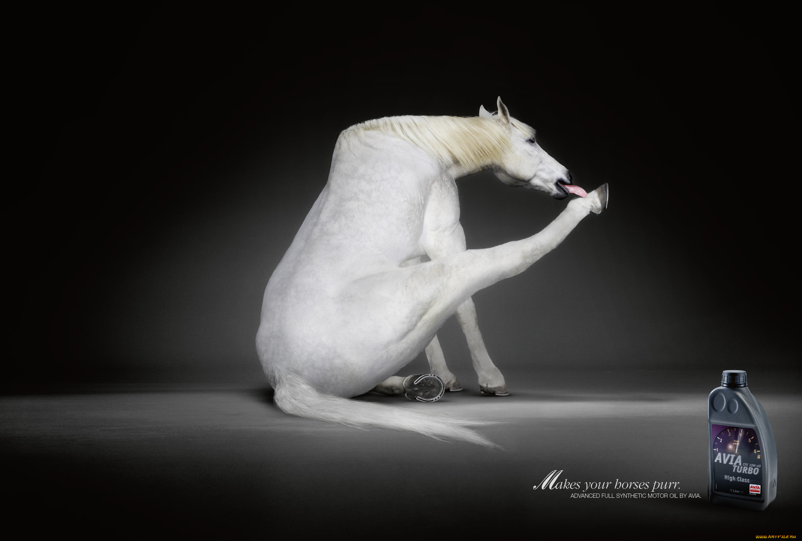 Реклама лошадок. Образы животных в рекламе. Красивая реклама с животными. Конь креативный. Креативная реклама масла.